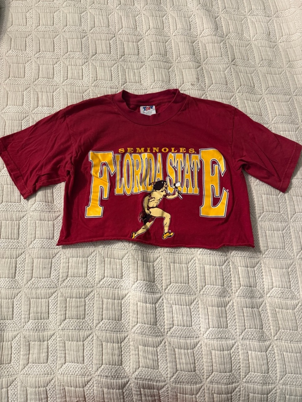 Vintage Florida State Seminoles Maroon Cropped Tee